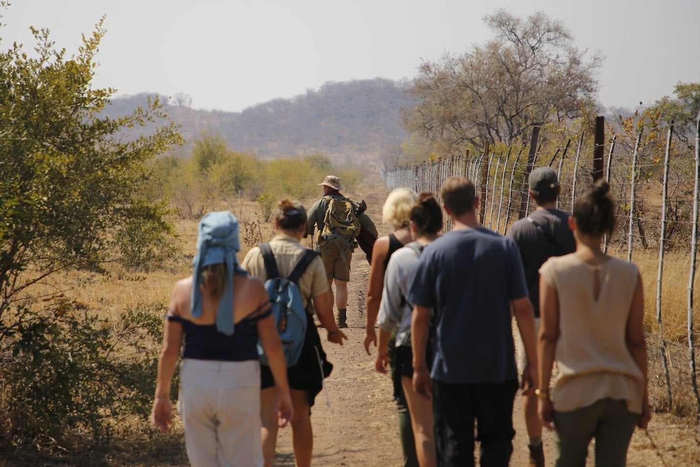 Safari scene